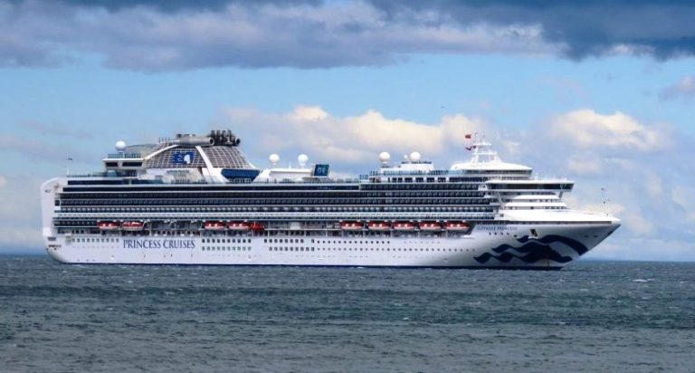 The Sapphire Princess sails through the waters off South America before its Antarctica itinerary. The ship offered an affordable scenic cruise that kept our Antarctica cruise cost much lower than an expedition.