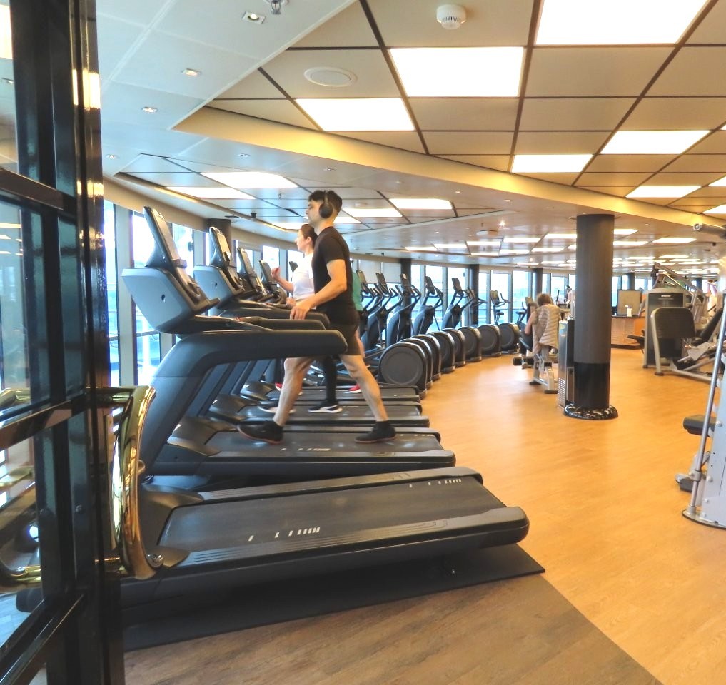 Rows of treadmills, bikes, and weight machines face large windows overlooking the ocean. The fitness center offers both cardio and strength equipment for passengers.