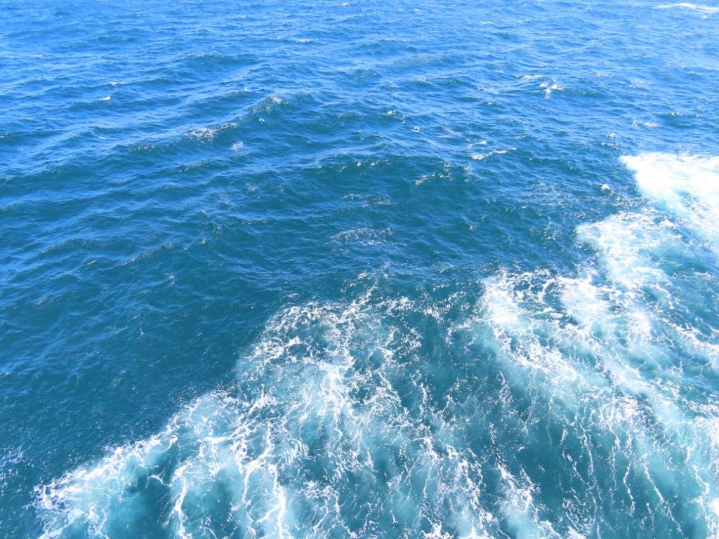 Sunlight sparkles across the ship's foamy wake as it stretches into open ocean. Looking at the water from the ship helped us appreciate just how different every Drake Passage crossing can be.