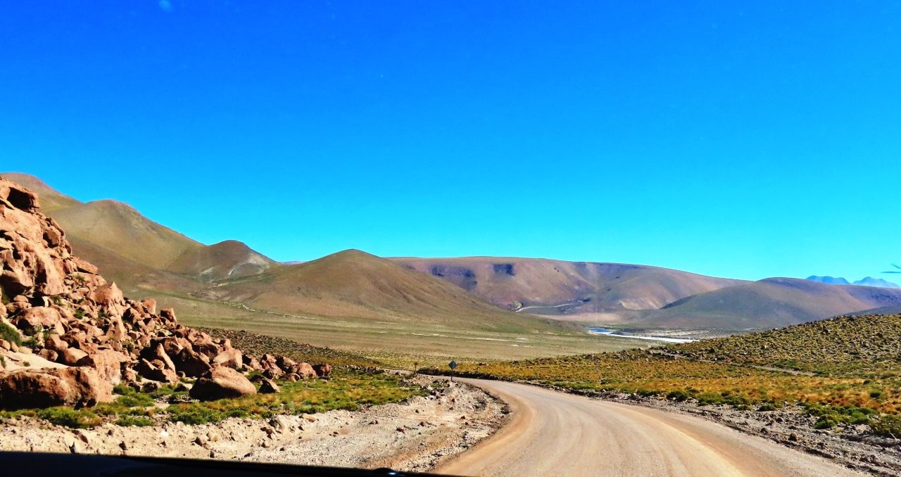 A broad green wetland spreads beneath rounded brown hills and a deep blue sky, with a distant volcano rising between the slopes. The sudden burst of green after miles of dry desert was one of the biggest surprises along B-245.