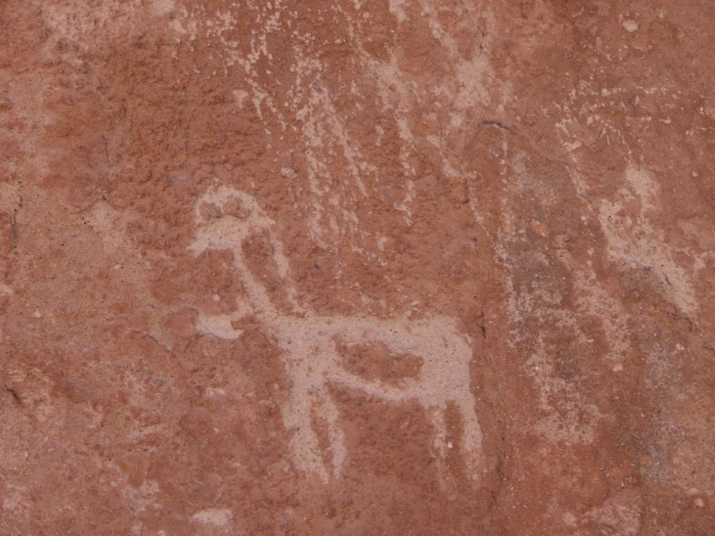 A faded four-legged animal with a curved neck is etched into a smooth reddish rock face. Without a guide, I could not always tell which markings were ancient petroglyphs and which were natural discoloration.