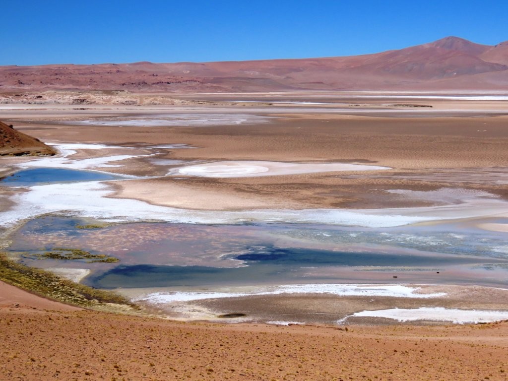 Pools of blue water shimmer among white salt flats and reddish desert plains in a vast high-altitude landscape. This type of scenery rewards travelers who venture beyond San Pedro de Atacama on longer day trips.
