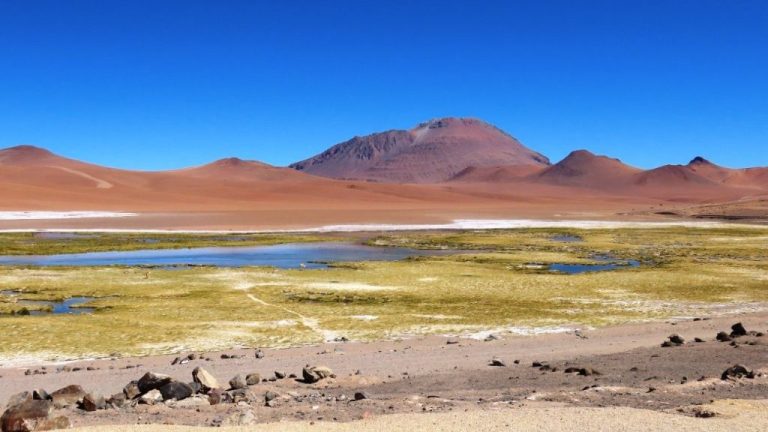 White salt bands curl around blue and pink mineral pools below red volcanic hills and a deep blue sky. This image captures the wild, high-altitude scenery that makes Ruta de los Salares one of the most dramatic drives from San Pedro de Atacama.