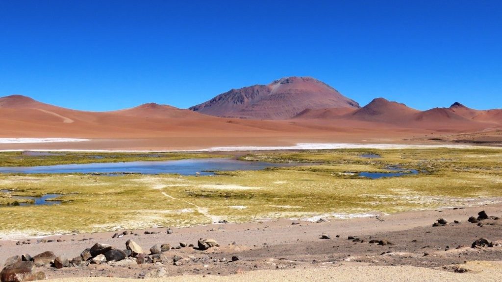 White salt bands curl around blue and pink mineral pools below red volcanic hills and a deep blue sky. This image captures the wild, high-altitude scenery that makes Ruta de los Salares one of the most dramatic drives from San Pedro de Atacama.