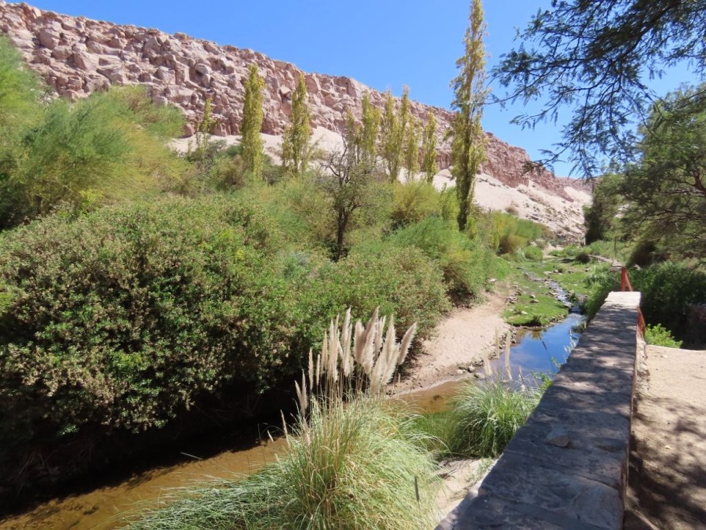 A narrow stone bridge crosses a shallow stream bordered by thick green plants and tall grasses. The little river and bridges made the oasis feel unexpectedly peaceful.