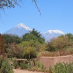 Snow-capped volcanoes rise above green desert vegetation and adobe walls near San Pedro de Atacama. The contrast between lush oasis and towering volcanic peaks is part of what makes this region so memorable.