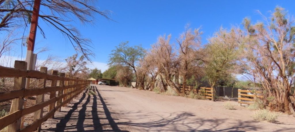 A dusty country road lined with fences and desert trees leads toward Peumayen Atacama Lodge and Hostal. The remote setting explains why this budget stay works best for travelers with a rental car.