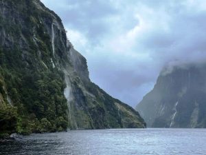 Fun New Zealand Fact - it rains 280 days a year in Doubtful Sound!
